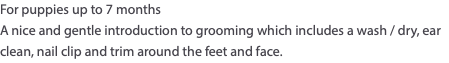 For puppies up to 7 months A nice and gentle introduction to grooming which includes a wash / dry, ear clean, nail clip and trim around the feet and face.